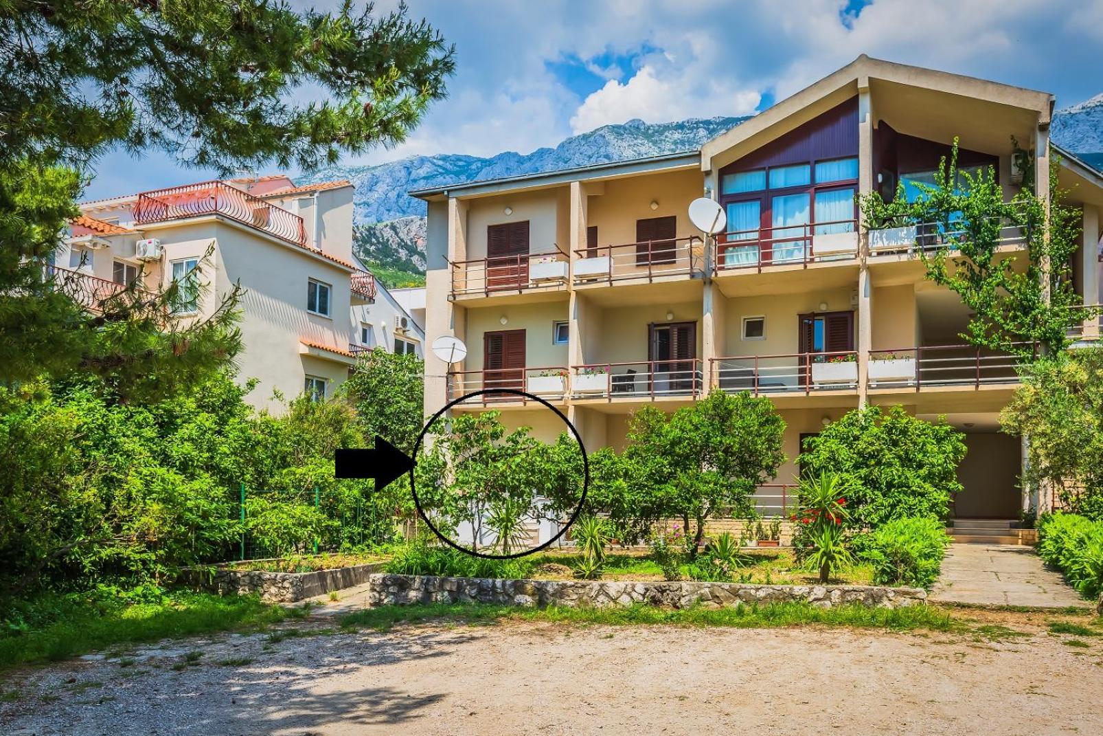 Apartments Agneza Tučepi Esterno foto